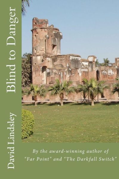 Blind to Danger - David Lindsley - Books - Createspace - 9781467996402 - November 28, 2011