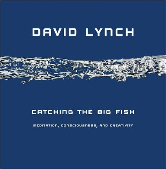 Cover for David Lynch · Catching the Big Fish: Meditation, Consciousness and Creativity (Hardcover bog) (2007)