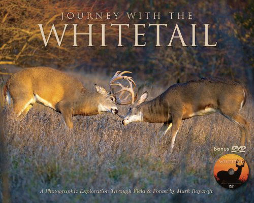 Cover for Mark Raycroft · Journey with the Whitetail (Hardcover Book) [Har / DVD edition] (2013)