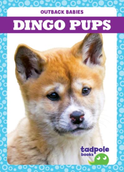 Cover for Genevieve Nilsen · Dingo Pups (Hardcover Book) (2021)