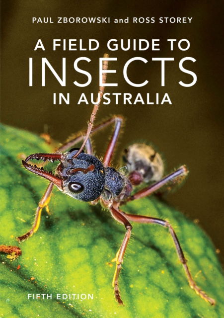 Cover for Paul Zborowski · A Field Guide to Insects of Australia: Fifth Edition (Paperback Book) (2025)