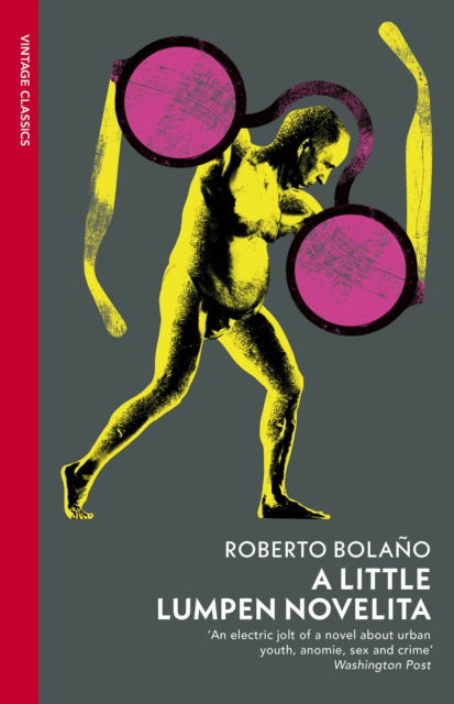 Cover for Roberto Bolano · A Little Lumpen Novelita (Pocketbok) (2024)