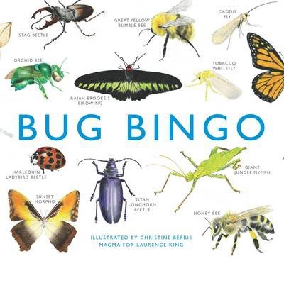 Cover for Christine Berrie · Bug Bingo - Magma for Laurence King (Flashcards) (2014)