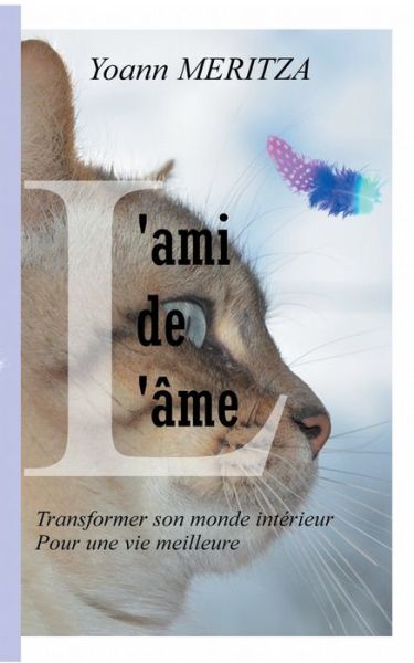 Cover for Meritza · L'ami de l'âme (Book) (2019)