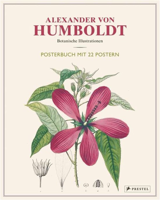 Alexander von Humboldt: Botanisch - Baume - Books -  - 9783791385402 - 