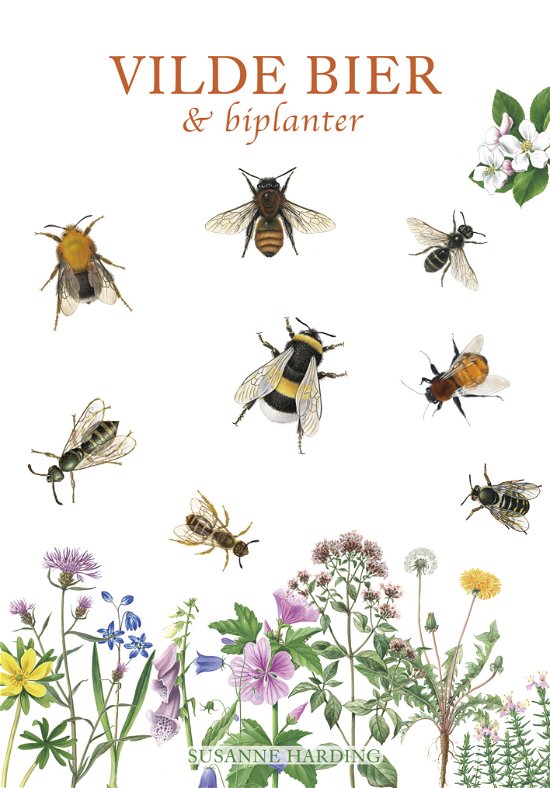 Cover for Susanne Harding · De hvide bøger: VILDE BIER OG BIPLANTER (Innbunden bok) [1. utgave] (2019)