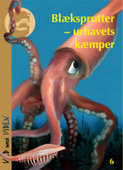 Cover for Jan Audun Rasmussen · Vild med Viden, Serie 1 Danske fortidsdyr: Blæksprutter - urhavets kæmper (Hæftet bog) [0. udgave] (2012)
