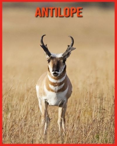 Antilope - Alicia Moore - Książki - Independently Published - 9798707591402 - 10 lutego 2021