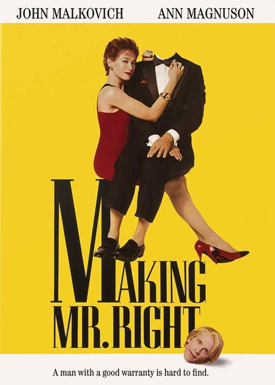 Cover for Making Mr Right (DVD) (2015)
