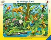 Cover for Ravensburger Rahmenpuzzle 8 · Tiere im Dschungel (Leksaker)