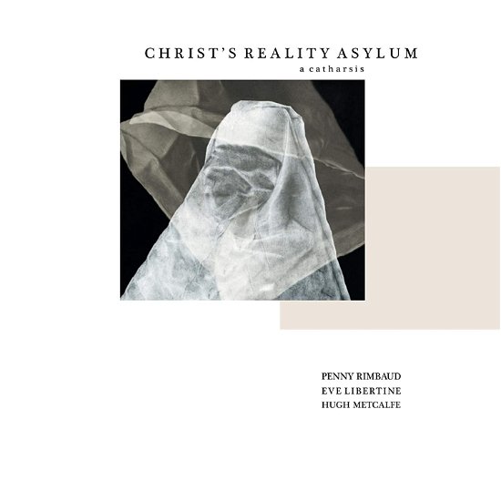 Cover for Penny Rimbaud · Reality Asylum (LP) (2020)