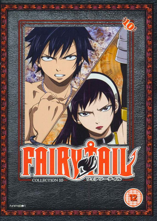 Cover for Shinji Ishihira · Fairy Tail Part 10 (Episodes 109 to 120) (DVD) (2016)