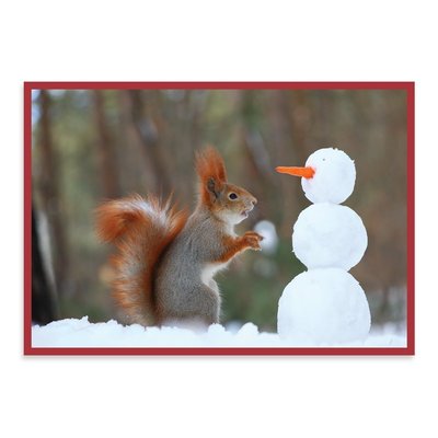 Cover for Galison · Snow Friends Notecards (Flashcards) (2016)