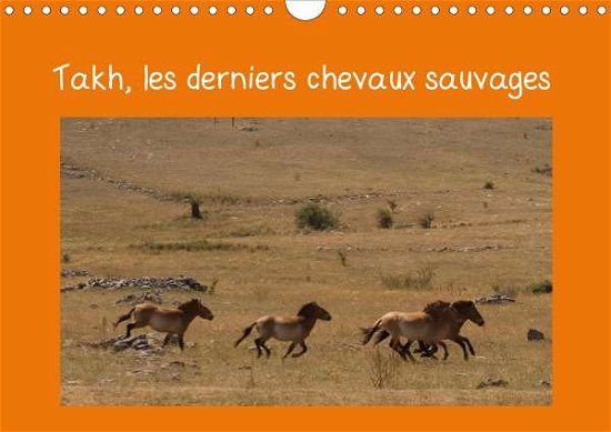 Cover for Terry · Takh, les derniers chevaux sauvag (Bog)