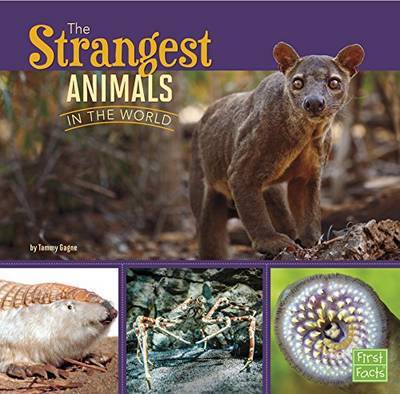 Cover for Tammy Gagne · Strangest Animals in the World (All About Animals) (Paperback Book) (2015)