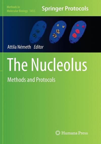 Cover for The Nucleolus: Methods and Protocols - Methods in Molecular Biology (Paperback Book) [Softcover reprint of the original 1st ed. 2016 edition] (2018)