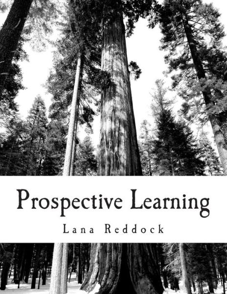 Cover for Lana T Reddock M Ed · Prospective Learning: Application Functionalities (Paperback Book) (2015)