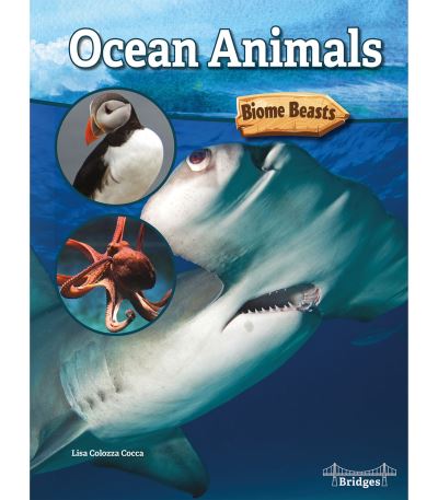 Cover for Lisa Colozza Cocca · Ocean Animals (Paperback Book) (2019)