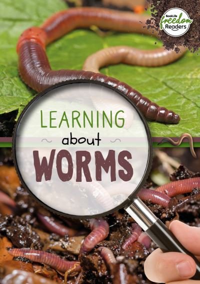 Cover for Holly Duhig · Learning about Worms - BookLife Freedom Readers (Taschenbuch) (2022)