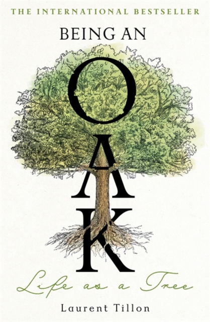 Cover for Laurent Tillon · Being an Oak: Life as a tree (Hardcover Book) (2025)