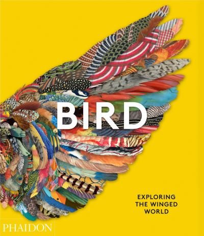 Cover for Phaidon Editors · Bird: Exploring the Winged World (Hardcover Book) (2021)
