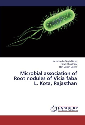 Cover for Hari Mohan Meena · Microbial Association of Root Nodules of Vicia Faba L. Kota, Rajasthan (Paperback Book) (2014)