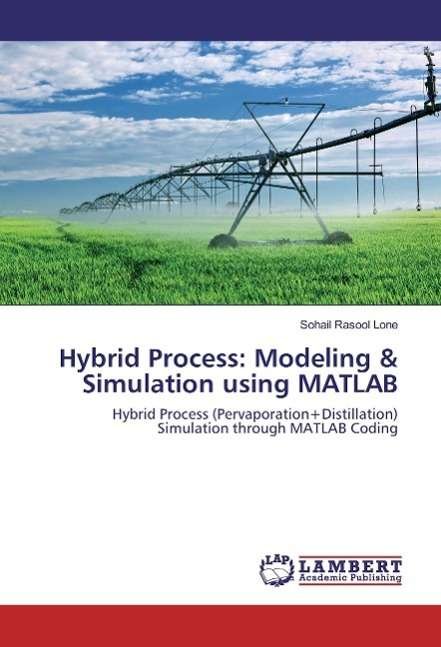 Cover for Lone · Hybrid Process: Modeling &amp; Simulat (Bok)