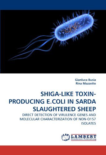 Cover for Rina Mazzette · Shiga-like Toxin-producing E.coli in Sarda Slaughtered Sheep: Direct Detection of Virulence Genes and Molecular Characterization of Non-o157 Isolates (Pocketbok) (2011)