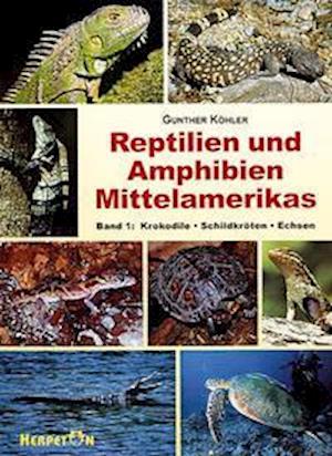 Cover for Gunther Köhler · Reptilien und Amphibien Mittelamerikas. (Bd. 1 ) (Paperback Book) (2000)