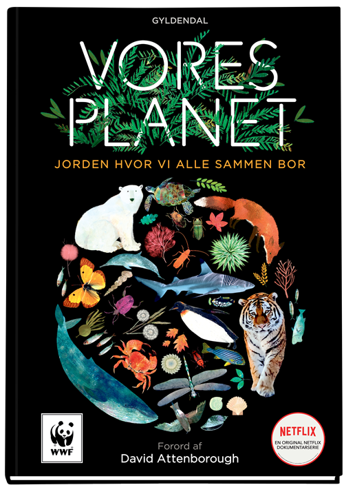 Cover for Matt Whyman · Vores planet (Innbunden bok) [1. utgave] (2020)