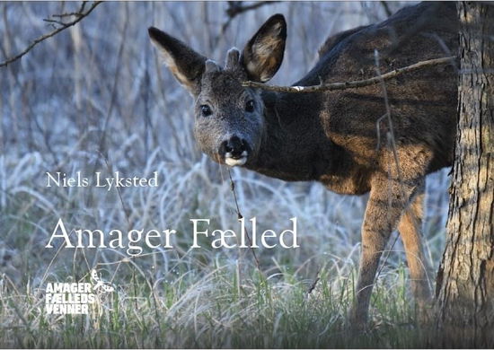 Niels Lyksted · Amager Fælled (Hardcover Book) [1er édition] (2021)