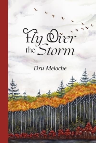 Cover for Dru Meloche · Fly Over the Storm (Pocketbok) (2021)