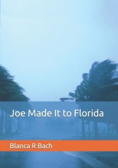 Cover for Blanca Bach · Joe Made It to Florida (Paperback Bog) (2021)