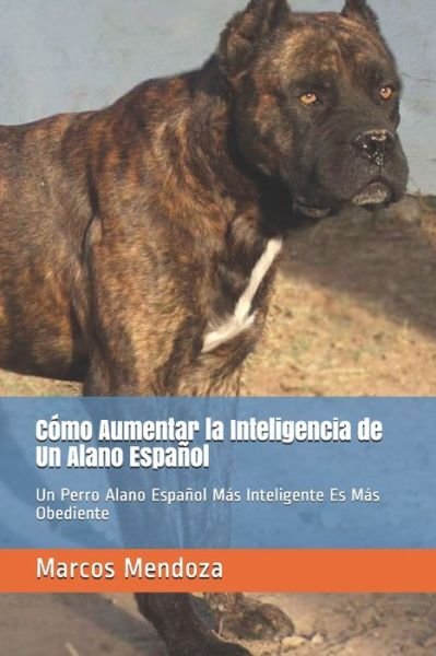 Cover for Marcos Mendoza · Como Aumentar la Inteligencia de Un Alano Espanol: Un Perro Alano Espanol Mas Inteligente Es Mas Obediente (Paperback Book) (2021)