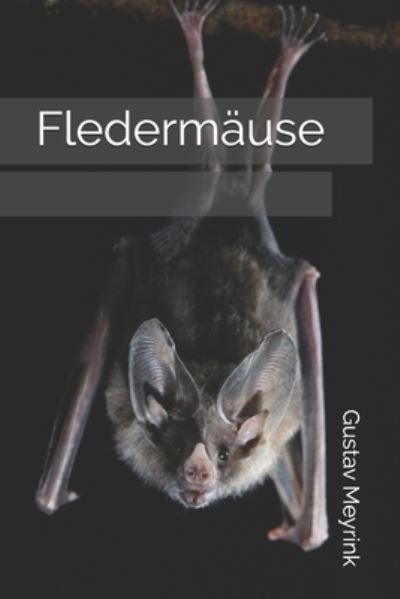 Cover for Gustav Meyrink · Fledermause (Pocketbok) (2020)