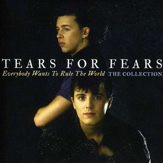 Tears for Fears-everybody Wants to Rule the World - Tears for Fears - Musik - Spectrum - 0600753441404 - 20. Juli 2020