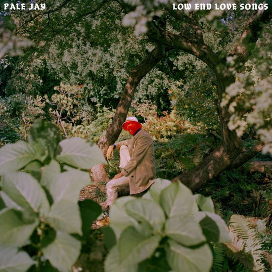 Cover for Pale Jay · Low End Love Songs (LP) (2024)