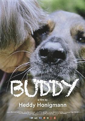 Cover for Buddy (DVD) (2019)