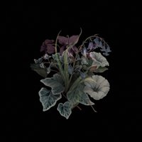 Wildflowers - Nhor - Música - PROPHECY - 0884388407404 - 13 de julio de 2018