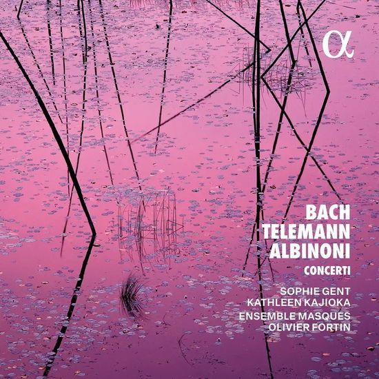 Cover for Ensemble Masques / Albinoni · Bach Telemann &amp; Albinoni: Concerti (CD) (2025)
