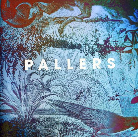 Cover for Pallers · The Sea Of Memories (LP) (2011)