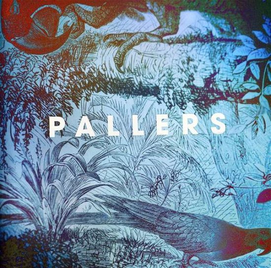 Cover for Pallers · The Sea Of Memories (LP) (2011)