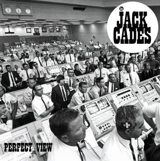 Cover for Cades Jack · Perfect View (CD) (2020)