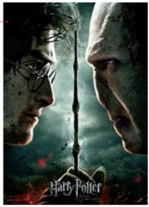 Cover for Harry Potter · Harry Vs Voldemort Puzzel (1000 Stukjes) (Puslespill)