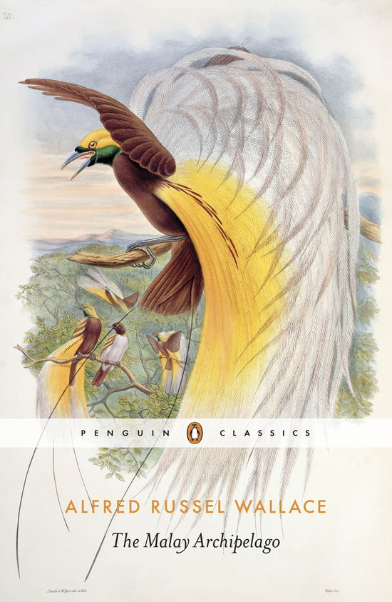 Cover for Alfred Russel Wallace · The Malay Archipelago (Pocketbok) [Ed edition] (2014)