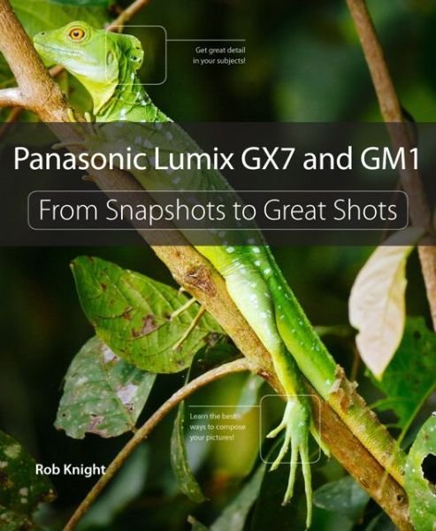 Cover for Robert Knight · Panasonic Lumix Gx7 and Gm1: from Snapshots to Great Shots (Pocketbok) (2014)