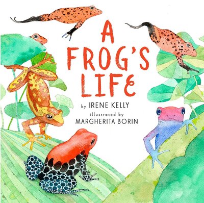 Cover for Irene Kelly · A Frog's Life (Paperback Book) (2020)