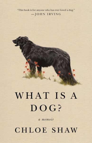 Cover for Chloe Shaw · What Is A Dog?: A Memoir (Paperback Book) (2022)