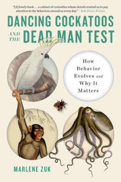 Dancing Cockatoos and the Dead Man Test: How Behavior Evolves and Why It Matters - Zuk, Marlene (University of Minnesota) - Books - WW Norton & Co - 9781324064404 - September 12, 2023