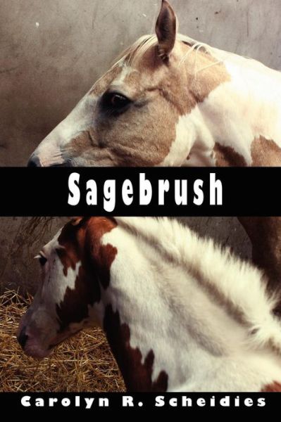 Cover for Carolyn R. Scheidies · Sagebrush (Paperback Book) (2007)